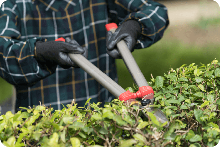 庭木の剪定・草刈り